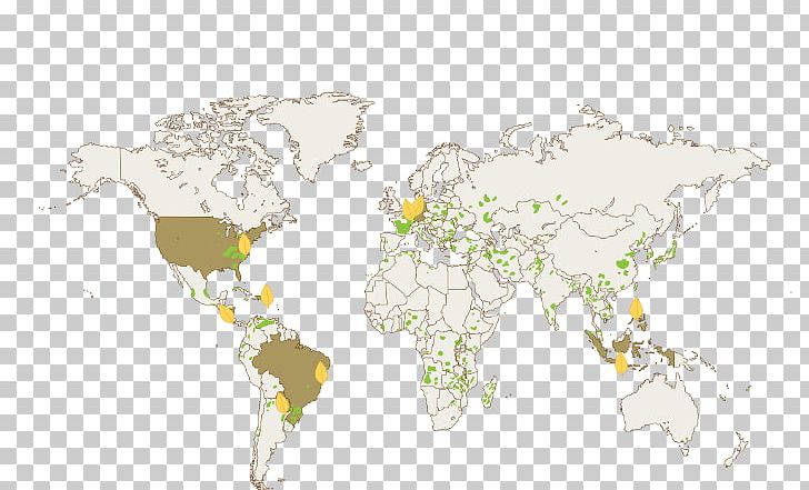 World Map United States Cardiovascular Disease PNG, Clipart, Atlas, Cardiovascular Disease, Coronary Artery Disease, Disease, Framingham Heart Study Free PNG Download