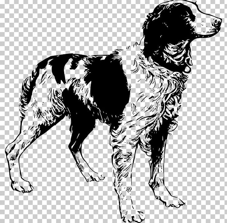 Brittany Dog English Cocker Spaniel Clumber Spaniel English Setter PNG, Clipart, American Cocker Spaniel, Black And White, Brittany Dog, Carnivoran, Dog Breed Free PNG Download