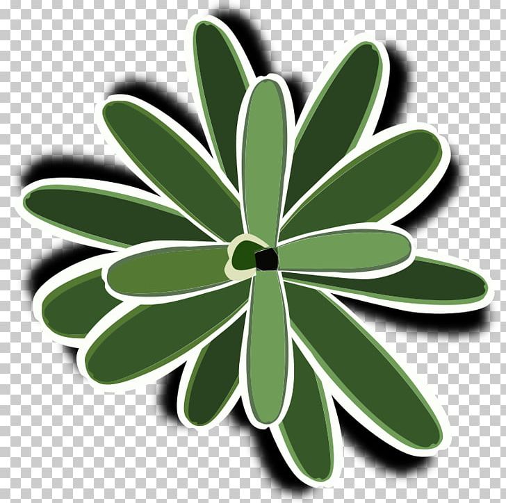 Bromelia Landscaping PNG, Clipart, Bromelia, Bromeliad, Bromeliads, Clip Art, Flora Free PNG Download