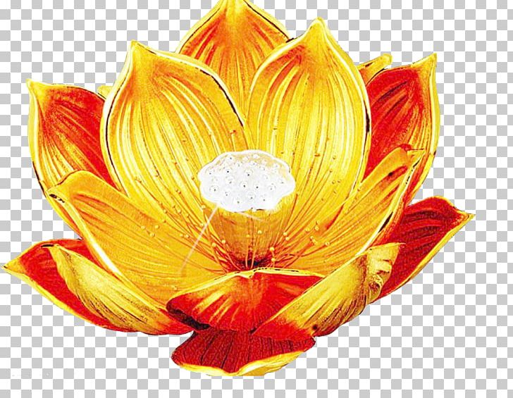 Vairocana Nelumbo Nucifera Dharmaku0101ya Falun Gong PNG, Clipart, Antiquity, Art, Five Tathagatas, Flower, Flowering Plant Free PNG Download