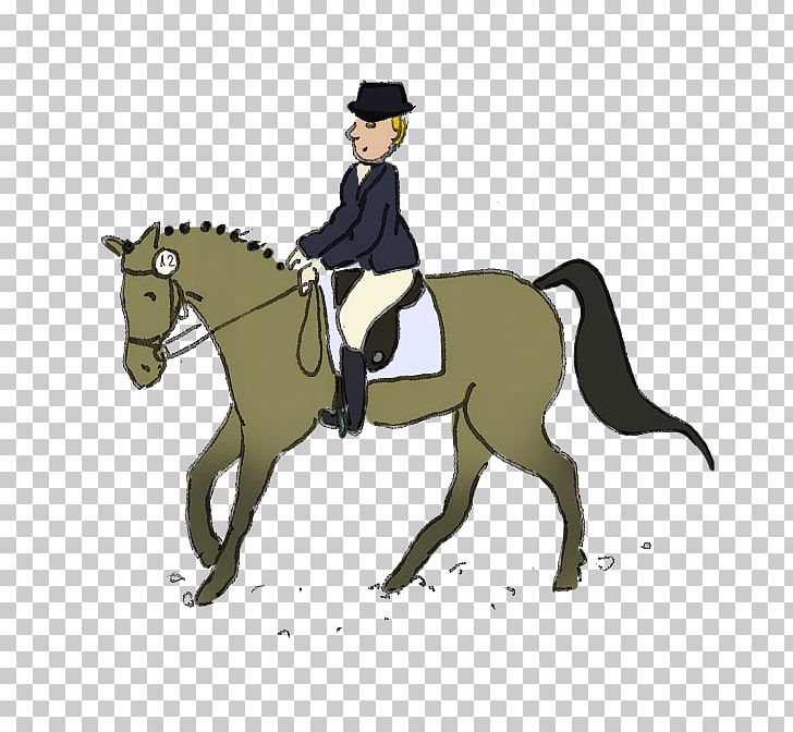 Mustang Pony Hunt Seat Dressage Stallion PNG, Clipart, Bridle, Dressage, Emotion, English Riding, Equestrian Free PNG Download