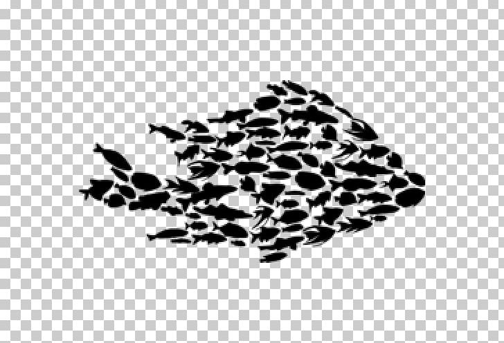 Silhouette Fish PNG, Clipart, Animals, Black, Black And White, Download, Fish Free PNG Download