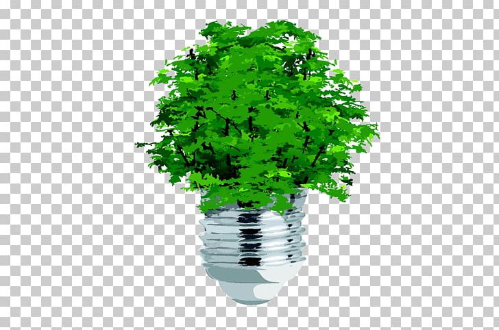 Tree Ecology Concept PNG, Clipart, Bulb, Cartoon, Concept, Creative, Creative Background Free PNG Download