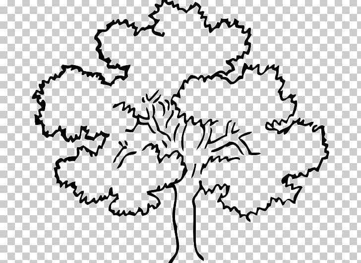 Tree Oak Outline PNG, Clipart, Area, Black, Black And White, Branch, Clip Art Free PNG Download