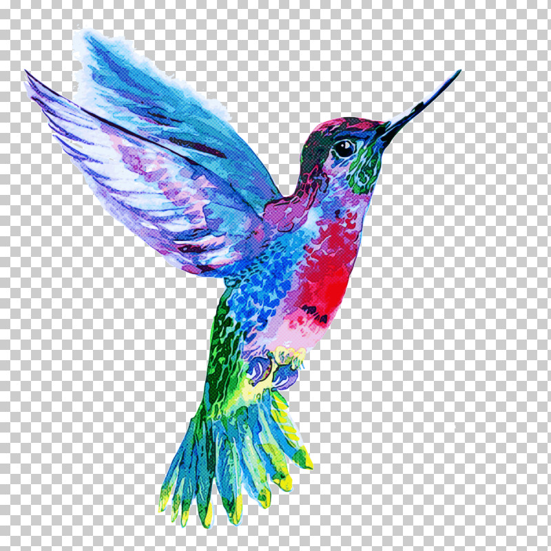 Hummingbird PNG, Clipart, Beak, Bird, Hummingbird, Rufous Hummingbird, Wing Free PNG Download