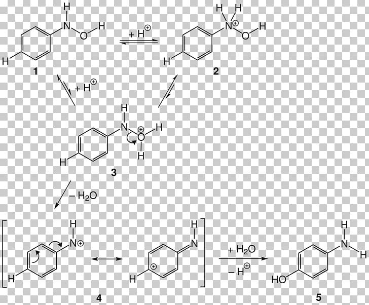 Bamberger Rearrangement Phenylhydroxylamine Protonation Chemical Reaction Rearrangement Reaction PNG, Clipart, Acid, Aminophenol, Angle, Area, Auto Part Free PNG Download