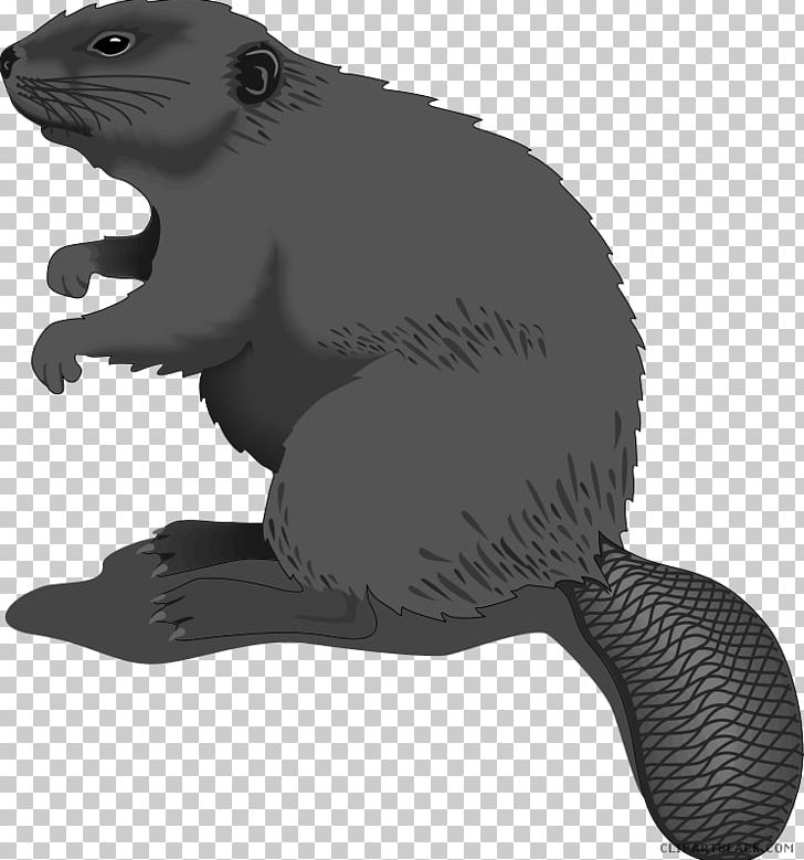 Free Content Graphics Open American Beaver PNG, Clipart, Animal, Beaver, Beaver Dam, Black And White, Brown Beaver Free PNG Download