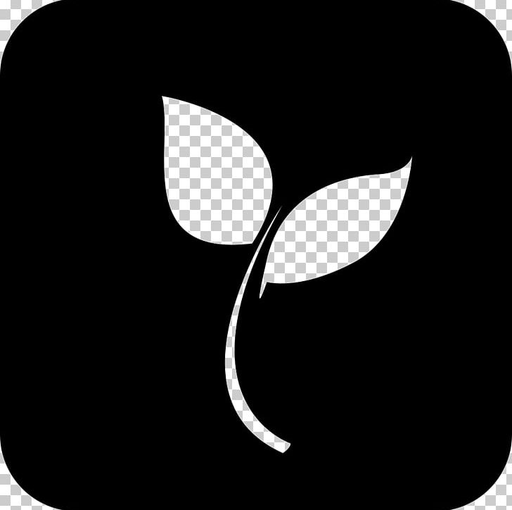Logo Line PNG, Clipart, Art, Black, Black And White, Black M, Cat Free PNG Download