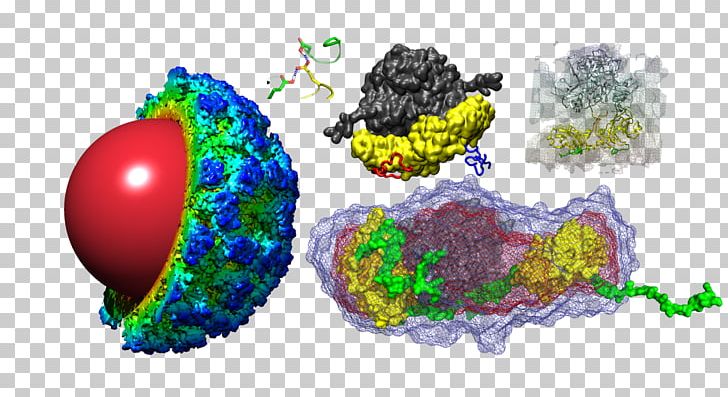 Organism Circle M RV & Camping Resort PNG, Clipart, Circle, Circle M Rv Camping Resort, Organism, Sphere, World Free PNG Download