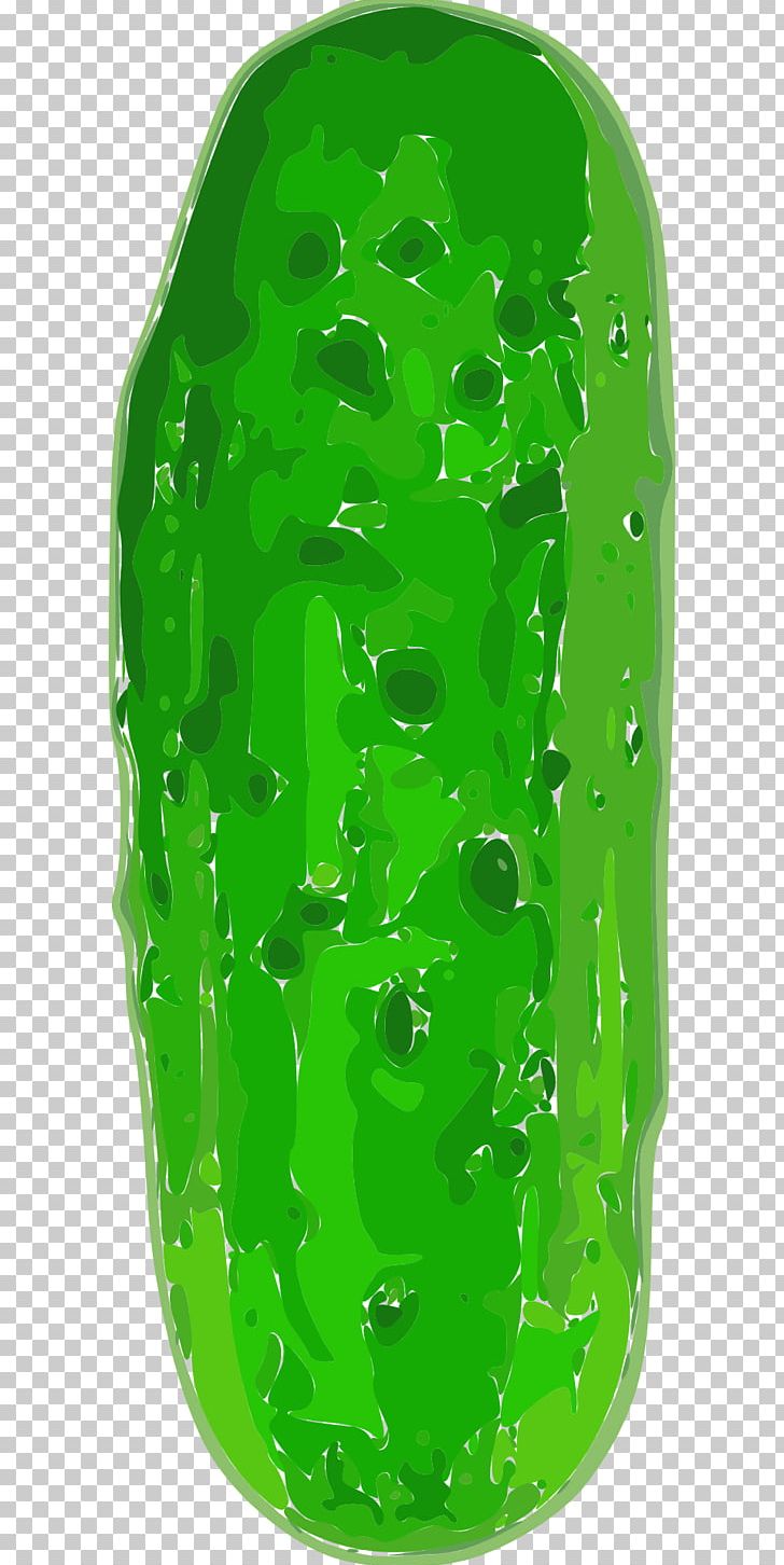Pickled Cucumber PNG, Clipart, Cucumber, Download, Green, Pickled Cucumber, Pickling Free PNG Download