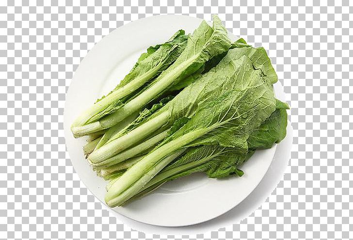 Romaine Lettuce Kale Vegetable Cabbage PNG, Clipart, Bok Choy, Cabbage Leaves, Cabbage Roses, Cartoon Cabbage, Celtuce Free PNG Download