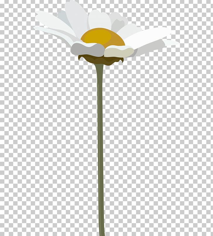 White Advertising Petal PNG, Clipart, Advertising, Camomile, Flower, Flowering Plant, Lighting Free PNG Download