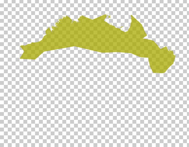 Flora Vegetation Australia Fauna Logo PNG, Clipart, Angloamerica, Area, Australia, Continent, Desert Free PNG Download