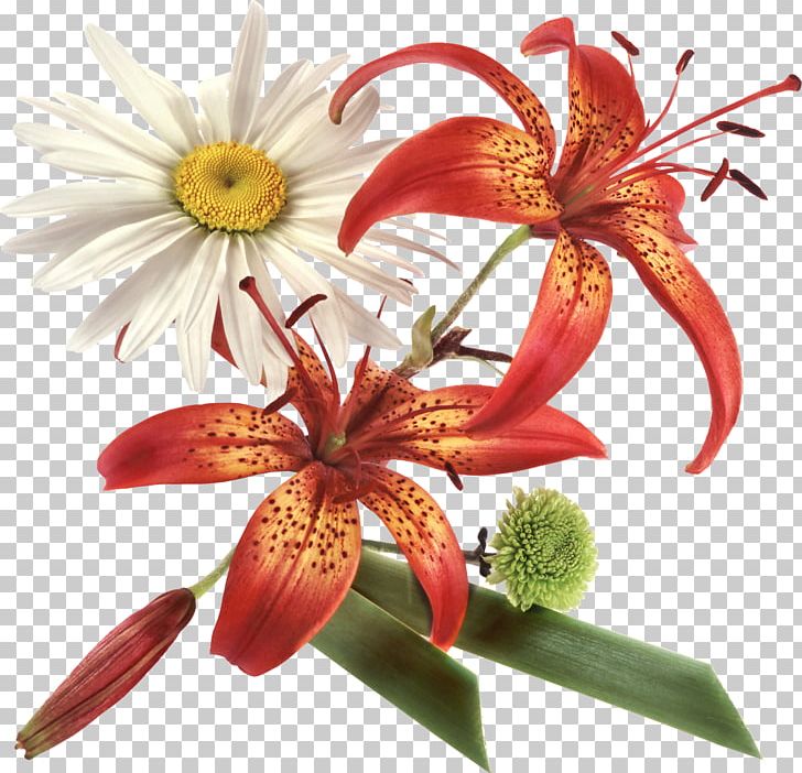 Flower PNG, Clipart, Clip Art, Cut Flowers, Desktop Wallpaper, Encapsulated Postscript, Flora Free PNG Download