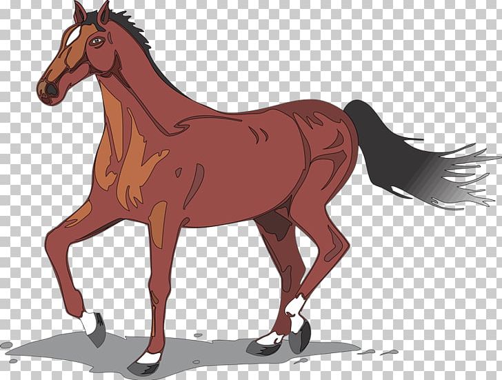 Running Horse Donkey Desktop PNG, Clipart, Animal, Animal Husbandry, Colt, Desktop Wallpaper, Domestic Animal Free PNG Download