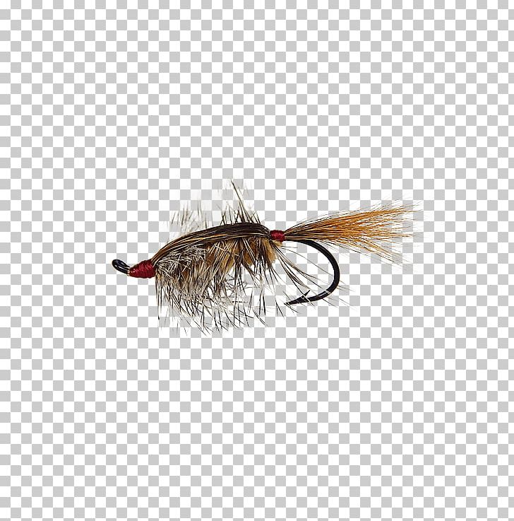 Product Holly Flies Bed Head Rainbow Trout Artificial Fly PNG, Clipart, Artificial Fly, Bed Head, Fishing Bait, Fly, Holly Flies Free PNG Download