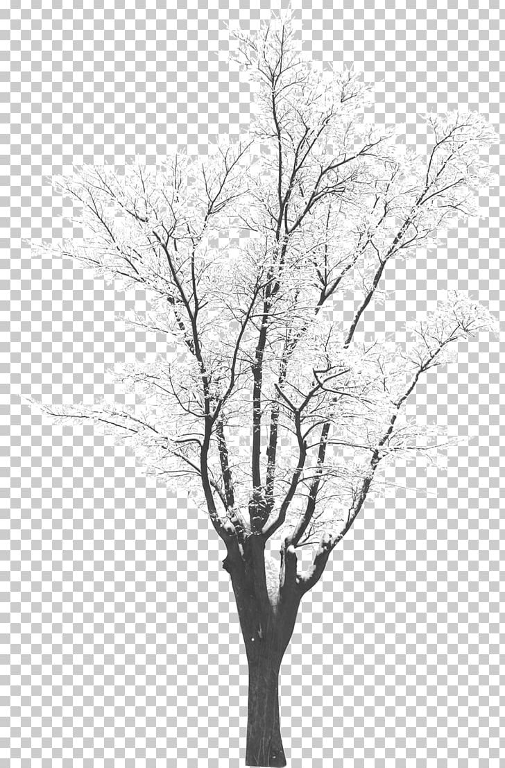 Tree Winter Monochrome Photography PNG, Clipart, Black And White, Branch, Download, Encapsulated Postscript, Firtree Free PNG Download