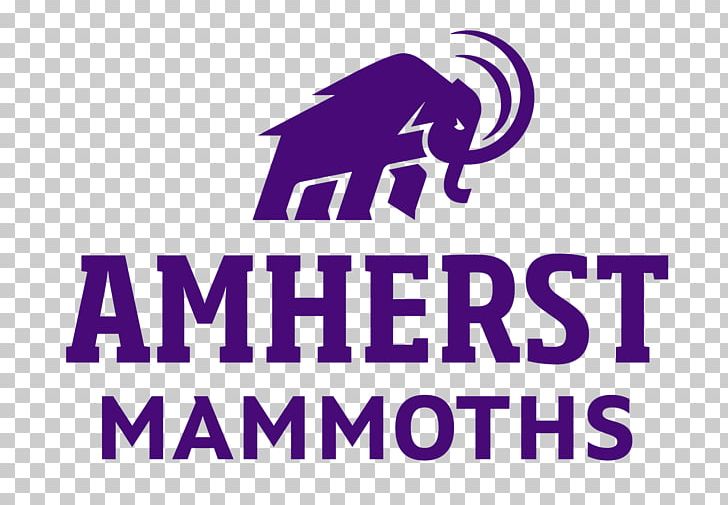 Amherst College Football University Of Massachusetts Amherst Beneski Museum Of Natural History Western Massachusetts PNG, Clipart, Amherst, Amherst College, Amherst College Football, Area, Brand Free PNG Download