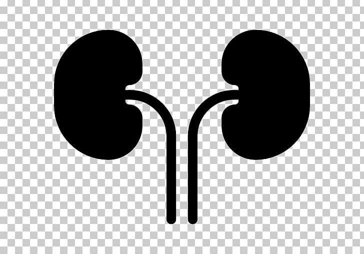 Kidney Human Body PNG, Clipart, Anatomy, Audio, Black And White, Brand, Circle Free PNG Download
