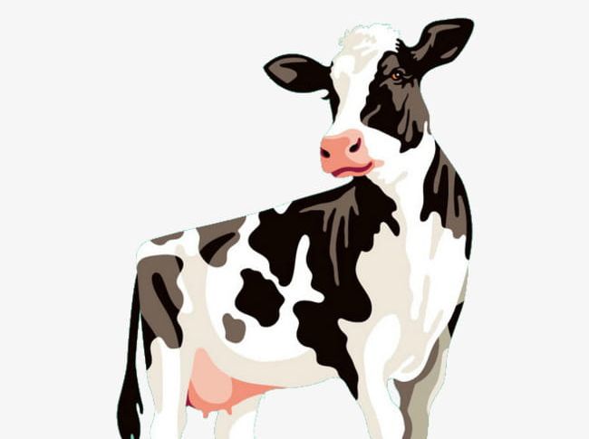 Cows Cow Painted Illustration PNG, Clipart, Animal, Black, Black And White, Cow, Cow Clipart Free PNG Download