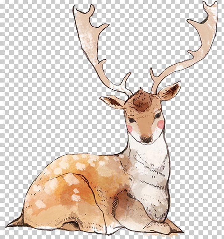 Reindeer Watercolor Painting PNG, Clipart, Animals, Antler, Art, Cartoon, Christmas Free PNG Download