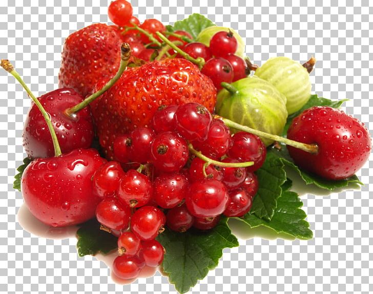 Kissel Food Processor Recipe Redcurrant PNG, Clipart, Blender, Calorie, Cherry, Cook, Cranberry Free PNG Download