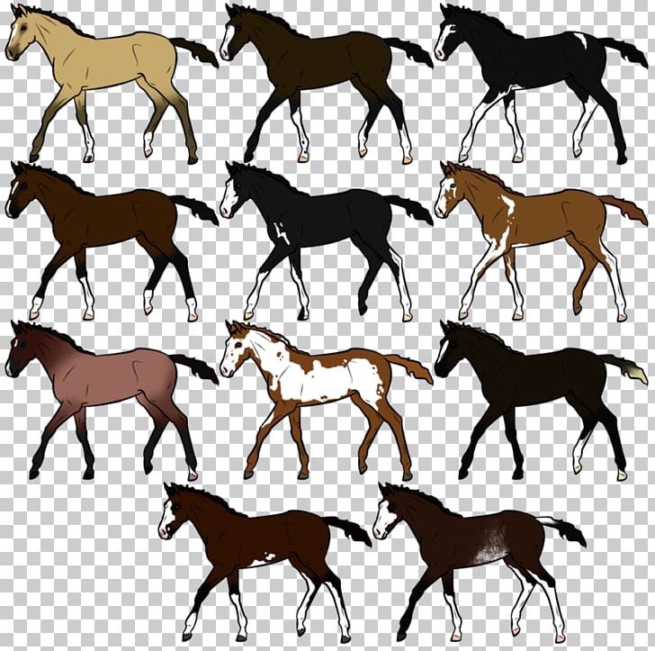 Mustang Foal Colt Stallion Mare PNG, Clipart,  Free PNG Download