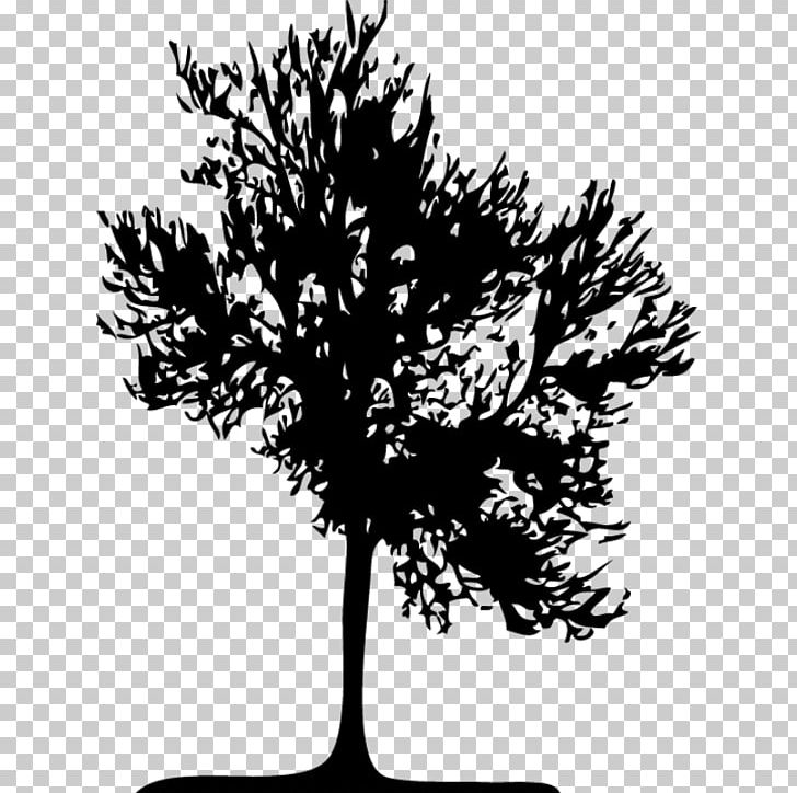 Twig Yolo Hostel Medellín Silhouette Computer Icons Tree PNG, Clipart, Animals, Black And White, Branch, Computer Icons, Deciduous Free PNG Download