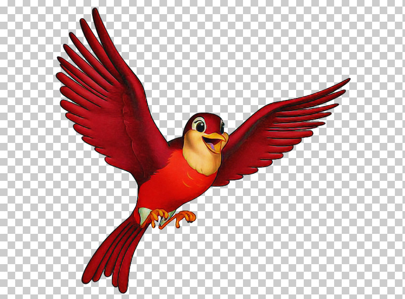 Bird Beak Wing Parrot Perching Bird PNG, Clipart, Beak, Bird, Cardinal, Parrot, Perching Bird Free PNG Download