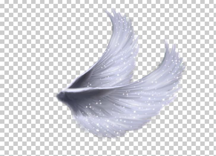 Angel Wing Feather PNG, Clipart, Angel, Angel Wing, Feather, Image Editing, Royaltyfree Free PNG Download