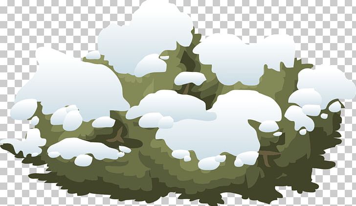 Shrub Snow PNG, Clipart, Bush, Download, Grass, Leaf, Nature Free PNG Download