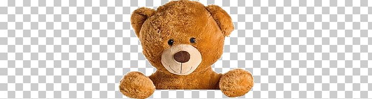 Teddy Bear PNG, Clipart, Teddy Bear Free PNG Download