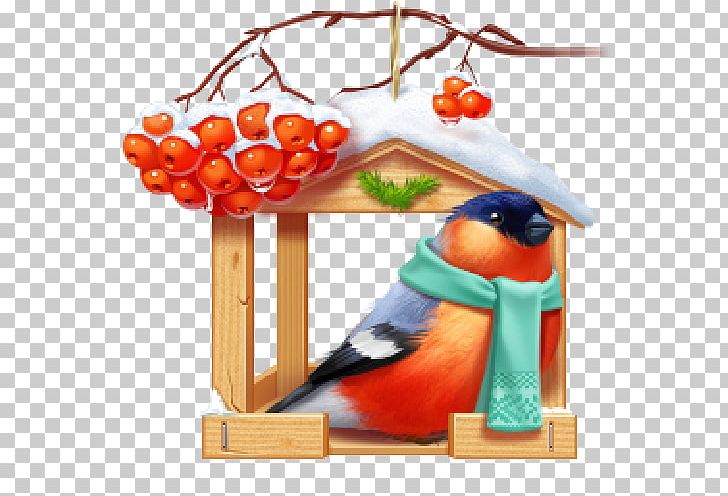 Bird Computer Icons Nest Box PNG, Clipart, Animals, Bird, Bird Feeders, Bird Supply, Bullfinch Free PNG Download
