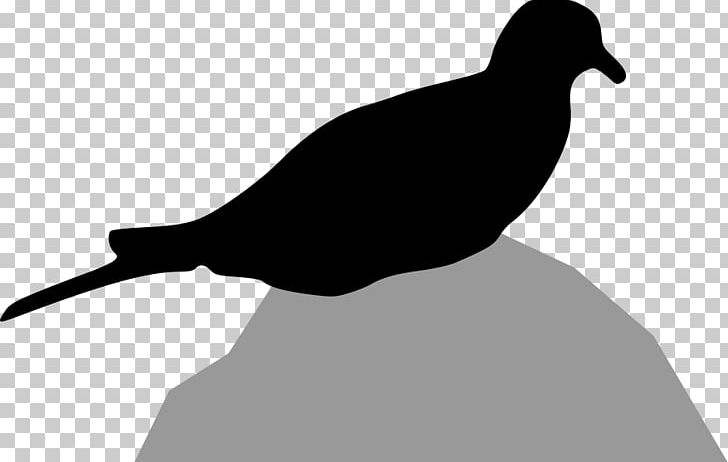 Columbidae Bird Mourning Dove Silhouette PNG, Clipart, Beak, Bird, Black And White, Cartoon Dove, Columbidae Free PNG Download