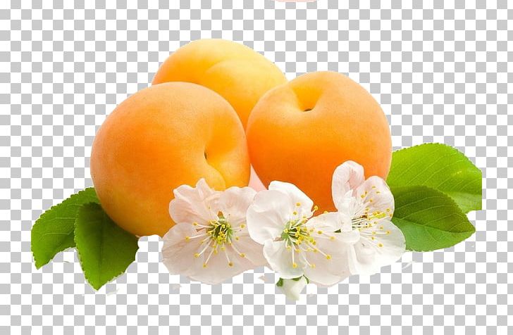 Desktop Fruit Apricot PNG, Clipart, Apple, Apricot, Desktop Environment, Desktop Wallpaper, Diet Food Free PNG Download