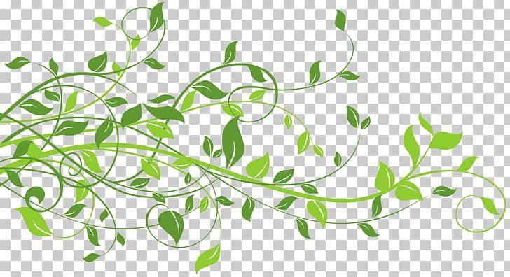 Leaf PNG, Clipart, Autumn Leaf Color, Branch, Clip Art, Clipart, Color Free PNG Download