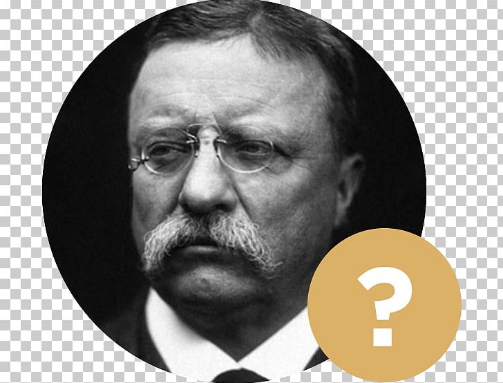 Theodore Roosevelt On Leadership: Executive Lessons From The Bully Pulpit United States Thirteen Books A Vote Is Like A Rifle: Its Usefulness Depends Upon The Character Of The User. PNG, Clipart, Beard, Big Stick Ideology, Black And White, Chin, Elder Free PNG Download