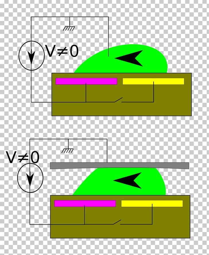 Product Design Green PNG, Clipart, Angle, Area, Art, Diagram, Grass Free PNG Download