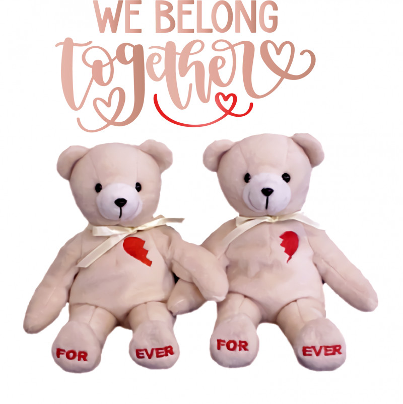 Teddy Bear PNG, Clipart, Bears, Best Friend Bear, Care Bears, Forever Friends, Friend Bear Free PNG Download