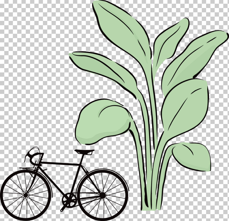 Bicycle Bicycle Wheel Leaf Grasses Plant Stem PNG, Clipart, Bicycle, Bicycle Frame, Bicycle Wheel, Bike, Flower Free PNG Download