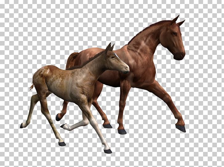 Mustang Tennessee Walking Horse Foal Mare Stallion PNG, Clipart, Animal Figure, Bridle, Caballo, Colt, Foal Free PNG Download