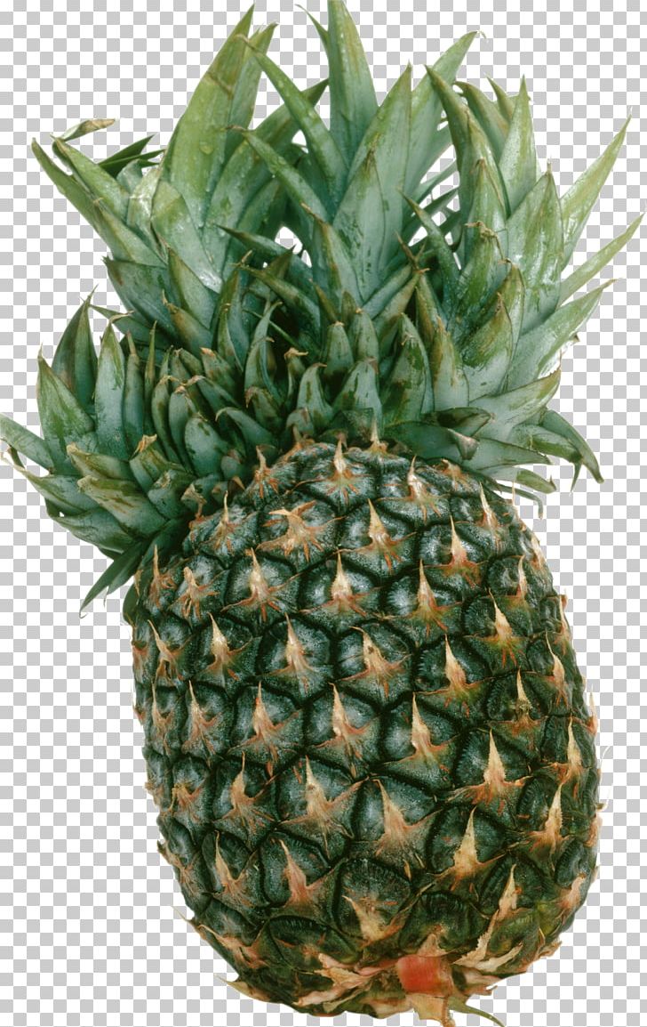 Pineapple Fruit PNG, Clipart, Ananas, Berry, Bromeliaceae, Color, Download Free PNG Download