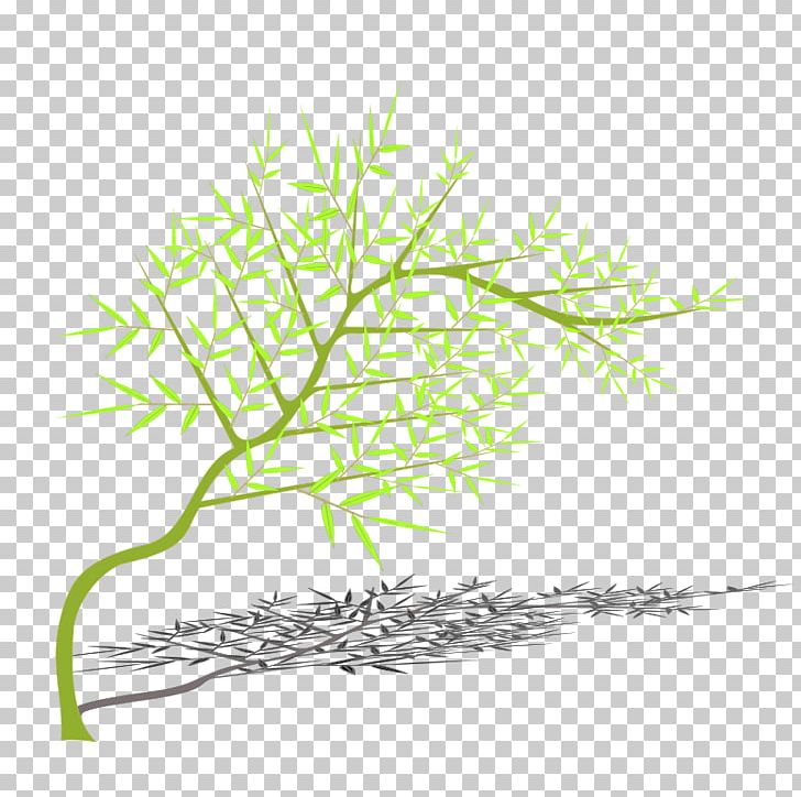 Tree Bamboo Branch PNG, Clipart, Bamboo, Branch, Commodity, Download, Grass Free PNG Download