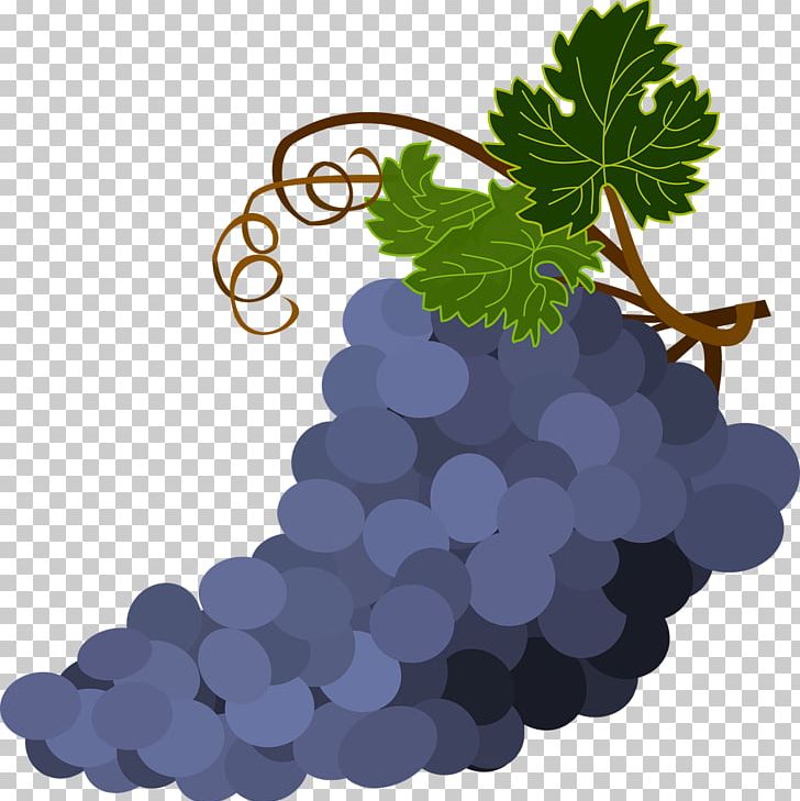 Wine Common Grape Vine Grape Leaves PNG, Clipart, Common Grape Vine, Flowering Plant, Food, Fruit, Fruit Nut Free PNG Download