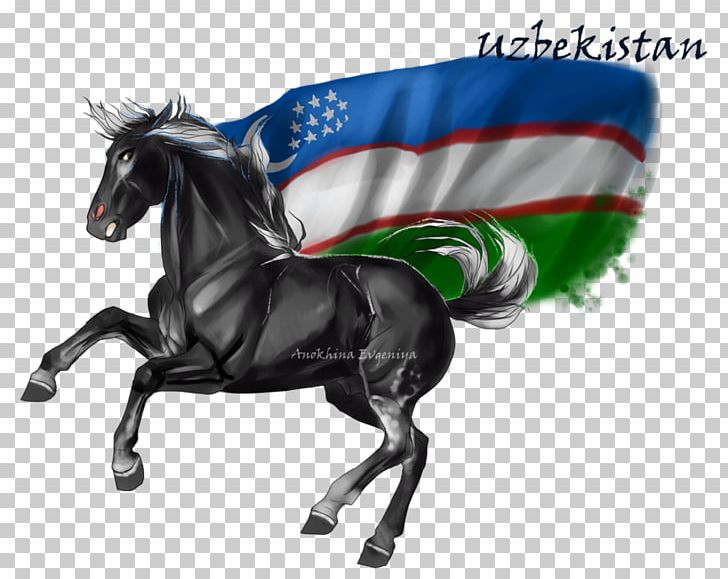 Horse & Hound Stallion Uzbekistan PNG, Clipart, Animals, Art, Bit, Bridle, Deviantart Free PNG Download