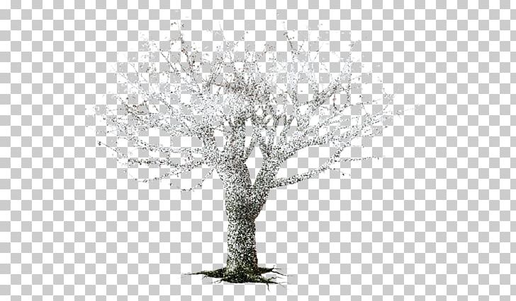 Tree Twig PNG, Clipart, Black And White, Branch, Gorselleri, Monochrome, Monochrome Photography Free PNG Download