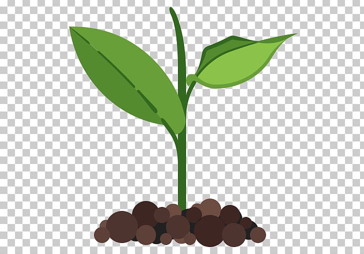 Computer Icons Plant PNG, Clipart, Computer Icons, Ecology, Flower, Food Drinks, Grass Free PNG Download