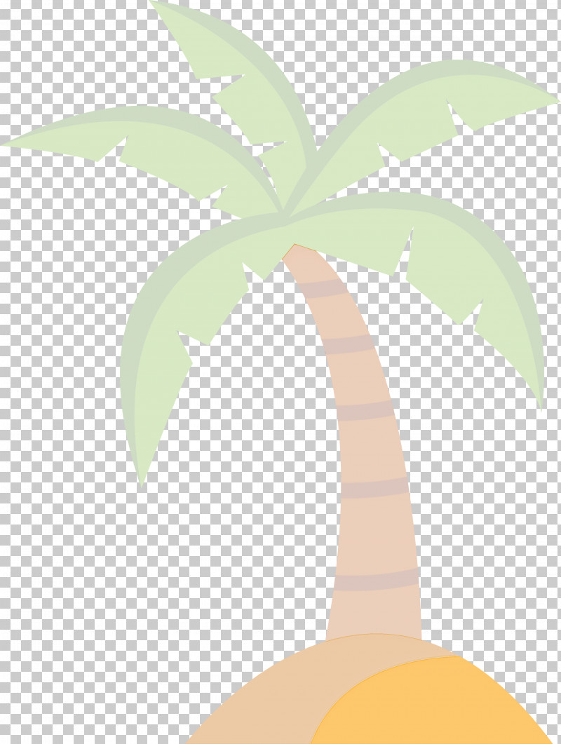 Palm Trees PNG, Clipart, Branch, Coconut, Drawing, Leaf, Palm Trees Free PNG Download