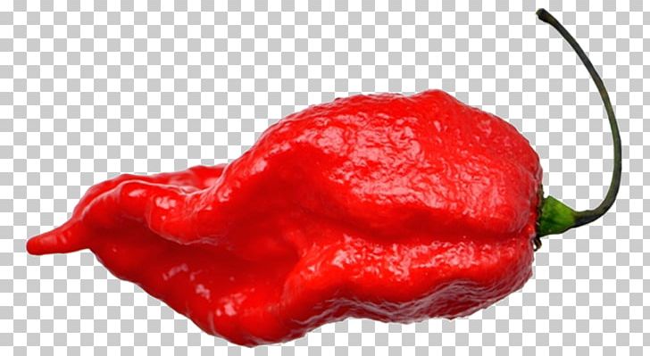 Habanero Tabasco Pepper Piquillo Pepper Cayenne Pepper Trinidad Moruga Scorpion PNG, Clipart, Bell Peppers And Chili Peppers, Bhut Jolokia, Cayenne Pepper, Chili Pepper, Food Free PNG Download