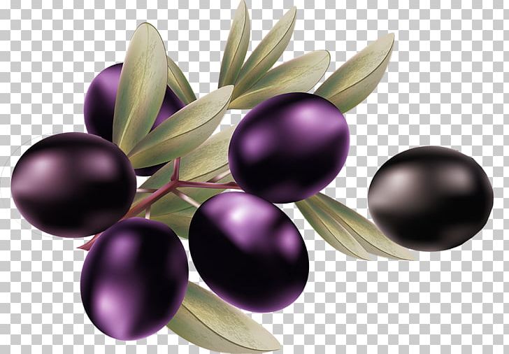 Olive Purple PNG, Clipart, Creative Background, Creative Graphics, Creative Logo Design, Creative Vector, Creativity Free PNG Download